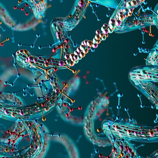 Chemienobelpreis 2024: Proteinfaltung und KI